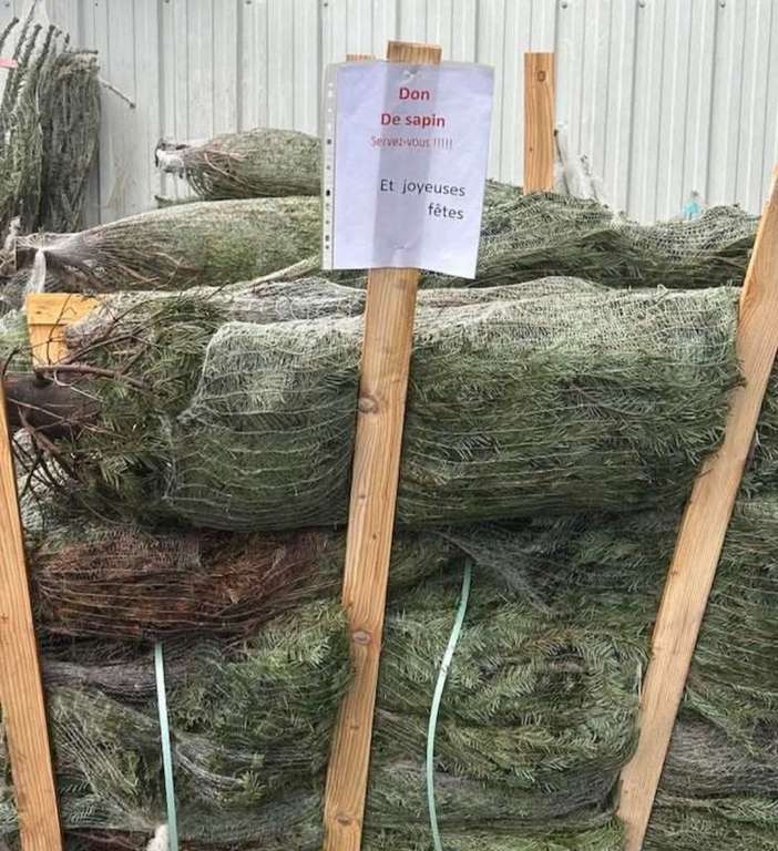 Sapins de Noel Gratuits Don NOZ Cournon Puy-de-Dome (63)